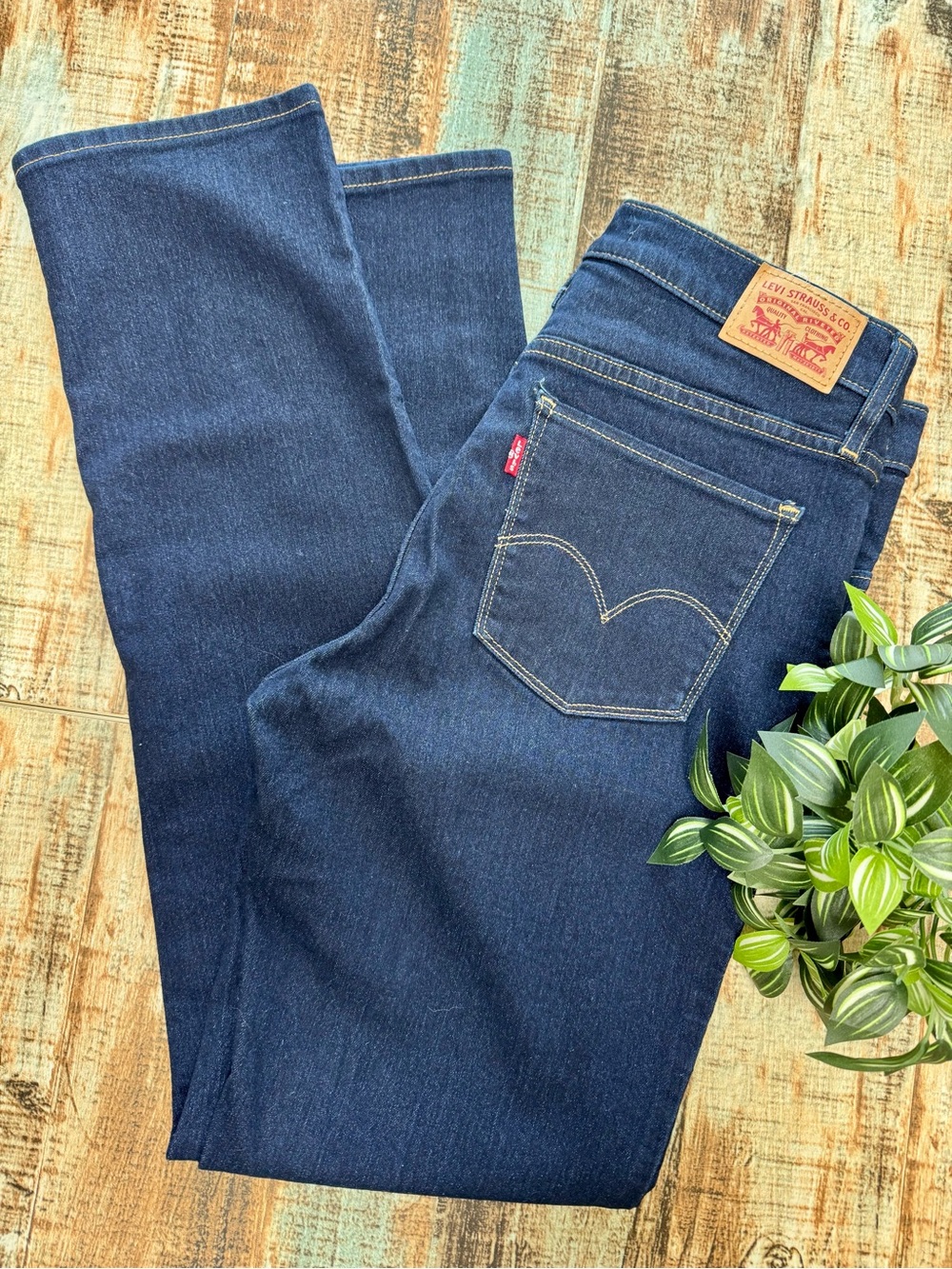 Women’s “LEVI Strauss & Co.” Jeans | #T85
